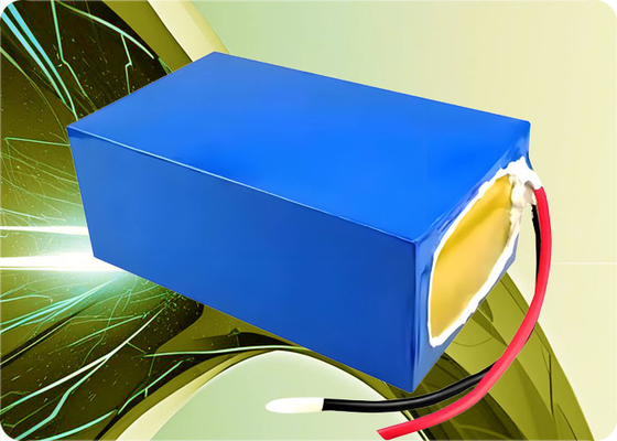 25.6V 50Ah LiFePO4 Battery Pack with 50A Discharge and BMS