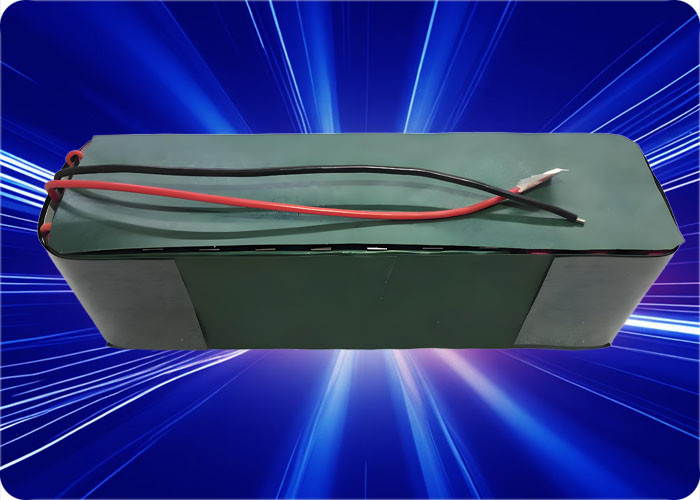 48V 12.5Ah Li Ion Battery Pack with 20A Discharge and BMS